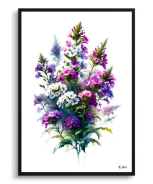 Sweet Rocket (Hesperis matronalis) Watercolour Painting Style Art Print - Illustration Framed Plant Wall Art