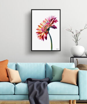 Transvaal daisy (Gerbera) Watercolour Painting Style Art Print - Illustration Framed Plant Wall Art 15 Transvaal daisy (Gerbera) Watercolour Painting Style Art Print - Illustration Framed Plant Wall Art - Image 2