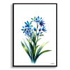 Two-leaf squill (Scilla Bifolia) Watercolour Painting Style Art Print - Illustration Framed Plant Wall Art 2 watercolour realist flowers two leaf squillscilla bifolia front view