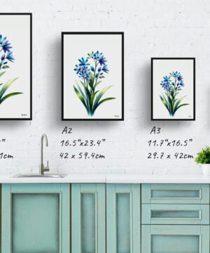 Two-leaf squill (Scilla Bifolia) Watercolour Painting Style Art Print - Illustration Framed Plant Wall Art 17 Two-leaf squill (Scilla Bifolia) Watercolour Painting Style Art Print - Illustration Framed Plant Wall Art - Image 4