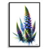 Vipers-buglosses (Echium) Watercolour Painting Style Art Print - Illustration Framed Plant Wall Art 1 watercolour realist flowers vipers buglossesechium front view