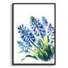 Wild Hyacinths (Camassia Leichtlinii) Watercolour Painting Style Art Print - Illustration Framed Plant Wall Art 2 watercolour realist flowers wild hyacinthscamassia leichtlinii front view
