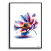 Windflower (Anemone) Watercolour Painting Style Art Print - Illustration Framed Plant Wall Art 2 watercolour realist flowers windfloweranemone front view