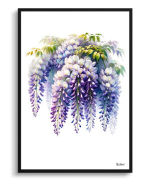 Wisteria (Fabaceae) Watercolour Painting Style Art Print - Illustration Framed Plant Wall Art
