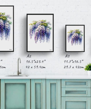 Wisteria (Fabaceae) Watercolour Painting Style Art Print - Illustration Framed Plant Wall Art 17 Wisteria (Fabaceae) Watercolour Painting Style Art Print - Illustration Framed Plant Wall Art - Image 4