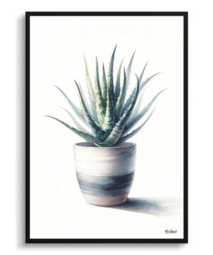 Aloe vera (Aloe barbadensis) Watercolour Style Art Print - Illustration Painting Framed Plant Wall Art