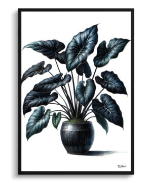 Black Velvet Alocasia (Alocasia Reginula) Watercolour Style Art Print - Illustration Painting Framed Plant Wall Art