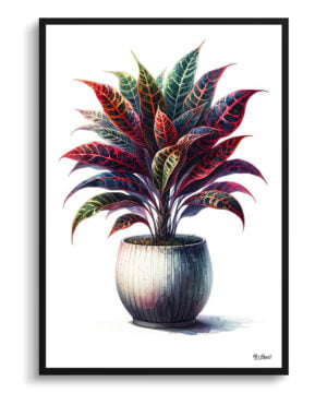 Croton (Codiaeum Variegatum) Watercolour Style Art Print - Illustration Painting Framed Plant Wall Art