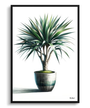 Dragon Tree (Dracaena Marginata) Watercolour Style Art Print - Illustration Painting Framed Plant Wall Art