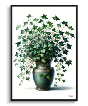 English Ivy (Hedera helix) Watercolour Style Art Print - Illustration Painting Framed Plant Wall Art