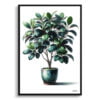 Ficus Audrey (Ficus benghalensis) Watercolour Style Art Print - Illustration Painting Framed Plant Wall Art 2 watercolour realist home plants ficus audreyficus benghalensis front view