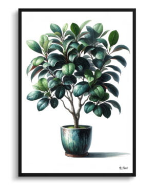 Ficus Audrey (Ficus benghalensis) Watercolour Style Art Print - Illustration Painting Framed Plant Wall Art