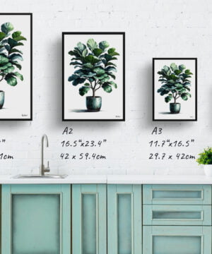 Fiddle Leaf Fig (Ficus Lyrata) Watercolour Style Art Print - Illustration Painting Framed Plant Wall Art 17 Fiddle Leaf Fig (Ficus Lyrata) Watercolour Style Art Print - Illustration Painting Framed Plant Wall Art - Image 4