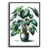 Heartleaf Philodendron (Philodendron Hederaceum) Watercolour Style Art Print - Illustration Painting Framed Plant Wall Art 1 watercolour realist home plants heartleaf philodendronphilodendron hederaceum front view