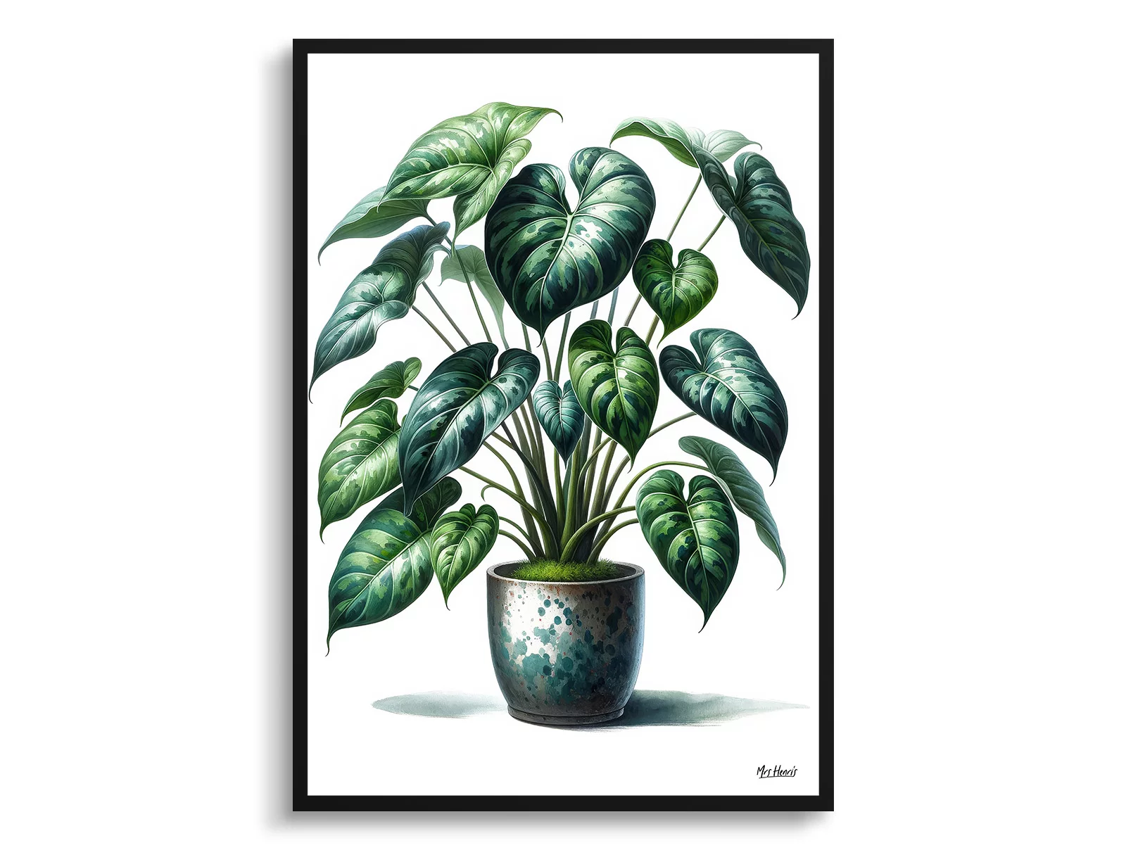 Heartleaf Philodendron (Philodendron Hederaceum) Watercolour Style Art Print - Illustration Painting Framed Plant Wall Art 3 Heartleaf Philodendron (Philodendron Hederaceum) Watercolour Style Art Print - Illustration Painting Framed Plant Wall Art