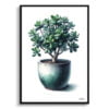 Jade Plant (Crassula Ovata) Watercolour Style Art Print - Illustration Painting Framed Plant Wall Art 2 watercolour realist home plants jade plantcrassula ovata front view