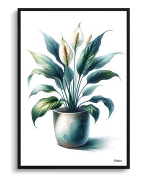 Peace Lily (Spathiphyllum wallisii) Watercolour Style Art Print - Illustration Painting Framed Plant Wall Art