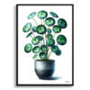 Pilea (Pilea Peperomioides) Watercolour Style Art Print - Illustration Painting Framed Plant Wall Art 2 watercolour realist home plants pileapilea peperomioides front view