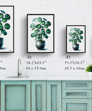 Pilea (Pilea Peperomioides) Watercolour Style Art Print - Illustration Painting Framed Plant Wall Art 17 Pilea (Pilea Peperomioides) Watercolour Style Art Print - Illustration Painting Framed Plant Wall Art - Image 4