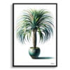 Ponytail Palm (Beaucarnea Recurvata) Watercolour Style Art Print - Illustration Painting Framed Plant Wall Art 2 watercolour realist home plants ponytail palmbeaucarnea recurvata front view