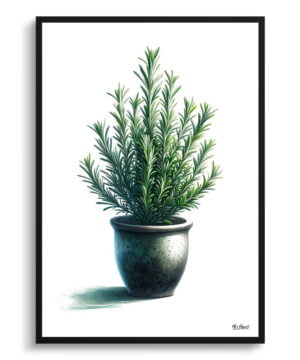 Rosemary (Salvia Rosmarinus) Watercolour Style Art Print - Illustration Painting Framed Plant Wall Art