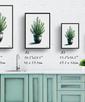 Rosemary (Salvia Rosmarinus) Watercolour Style Art Print - Illustration Painting Framed Plant Wall Art 17 Rosemary (Salvia Rosmarinus) Watercolour Style Art Print - Illustration Painting Framed Plant Wall Art - Image 4