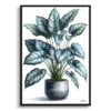 Silver Leaf Philodendron (Philodendron Brandtianum) Watercolour Style Art Print - Illustration Painting Framed Plant Wall Art 2 watercolour realist home plants silver leaf philodendronphilodendron brandtianum front view