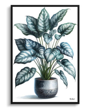 Silver Leaf Philodendron (Philodendron Brandtianum) Watercolour Style Art Print - Illustration Painting Framed Plant Wall Art