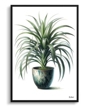 Spider Plant (Chlorophytum Comosum) Watercolour Style Art Print - Illustration Painting Framed Plant Wall Art