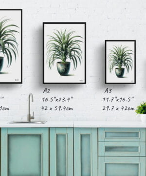 Spider Plant (Chlorophytum Comosum) Watercolour Style Art Print - Illustration Painting Framed Plant Wall Art 17 Spider Plant (Chlorophytum Comosum) Watercolour Style Art Print - Illustration Painting Framed Plant Wall Art - Image 4