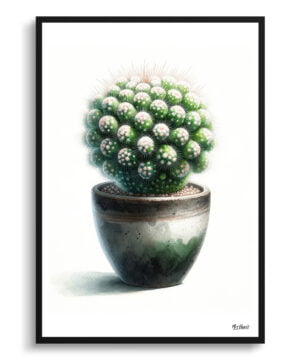 Thimble Cactus (Mammillaria gracilis fragilis) Watercolour Style Art Print - Illustration Painting Framed Plant Wall Art