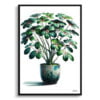 Umbrella Plant (Schefflera Actinophylla) Watercolour Style Art Print - Illustration Painting Framed Plant Wall Art 1 watercolour realist home plants umbrella plantschefflera actinophylla front view