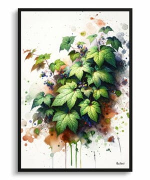 Big Leaved Pepper Vine (Ampelopsis megalophylla) Watercolour Botanical Art Print - Blotted Painting Framed Plant Wall Art 18 Big Leaved Pepper Vine (Ampelopsis megalophylla) Watercolour Botanical Art Print - Blotted Painting Framed Plant Wall Art - Image 5