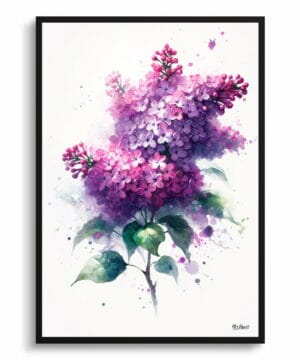 watercolour blotted flowers lilacsyringa vulgaris front view 1