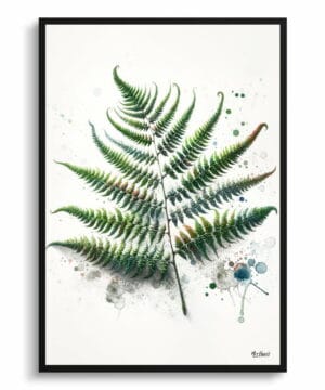 Sensitive Fern (Onoclea) Watercolour Botanical Art Print - Blotted Painting Framed Plant Wall Art 18 Sensitive Fern (Onoclea) Watercolour Botanical Art Print - Blotted Painting Framed Plant Wall Art - Image 5