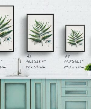 Sensitive Fern (Onoclea) Watercolour Botanical Art Print - Blotted Painting Framed Plant Wall Art 21 Sensitive Fern (Onoclea) Watercolour Botanical Art Print - Blotted Painting Framed Plant Wall Art - Image 8