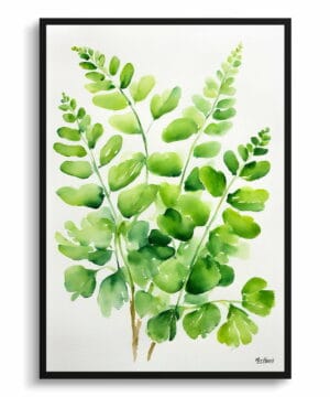 Northern Five-fingered Fern Watercolour Botanical Art Print - Adiantum Pedatum Minimalist Framed Plant Wall Art 17 Northern Five-fingered Fern Watercolour Botanical Art Print - Adiantum Pedatum Minimalist Framed Plant Wall Art - Image 5