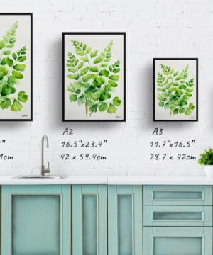 Northern Five-fingered Fern Watercolour Botanical Art Print - Adiantum Pedatum Minimalist Framed Plant Wall Art 24 Northern Five-fingered Fern Watercolour Botanical Art Print - Adiantum Pedatum Minimalist Framed Plant Wall Art - Image 12