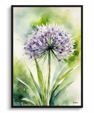 Ornamental onion (Allium Nigrum) Watercolour Botanical Art Print - Crow Wild Garlic Framed Plant Wall Art 22 Ornamental onion (Allium Nigrum) Watercolour Botanical Art Print - Crow Wild Garlic Framed Plant Wall Art - Image 9
