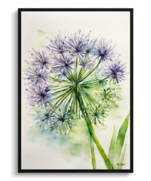 Ornamental onion (Allium Nigrum) Watercolour Botanical Art Print - Crow Wild Garlic Minimalist Framed Plant Wall Art 18 Ornamental onion (Allium Nigrum) Watercolour Botanical Art Print - Crow Wild Garlic Minimalist Framed Plant Wall Art - Image 5