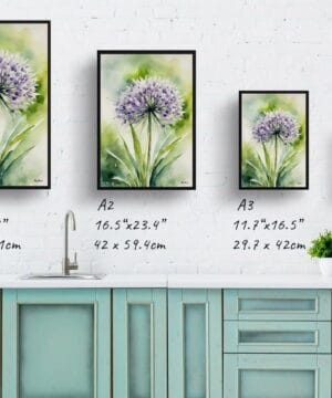 Ornamental onion (Allium Nigrum) Watercolour Botanical Art Print - Crow Wild Garlic Framed Plant Wall Art 25 Ornamental onion (Allium Nigrum) Watercolour Botanical Art Print - Crow Wild Garlic Framed Plant Wall Art - Image 12
