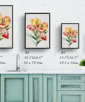 Peruvian Lily of the Incas Watercolour Botanical Art Print - Alstroemeria Minimalist Framed Plant Wall Art 21 Peruvian Lily of the Incas Watercolour Botanical Art Print - Alstroemeria Minimalist Framed Plant Wall Art - Image 8