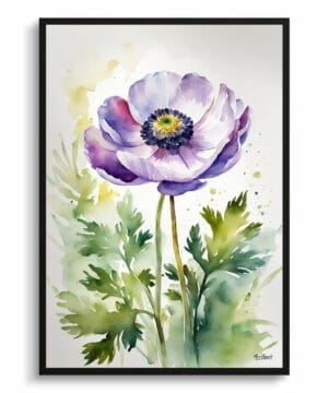 Windflower (Anemone) Watercolour Botanical Art Print - Thimbleweed Framed Plant Wall Art 18 Windflower (Anemone) Watercolour Botanical Art Print - Thimbleweed Framed Plant Wall Art - Image 5