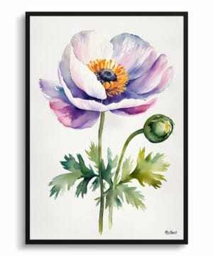 Windflower (Anemone) Watercolour Botanical Art Print - Thimbleweed Minimalist Framed Plant Wall Art 22 Windflower (Anemone) Watercolour Botanical Art Print - Thimbleweed Minimalist Framed Plant Wall Art - Image 9