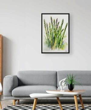 Asparagus Officinalis (Gijnlim) Watercolour Botanical Art Print - Framed Plant Wall Art 24 Asparagus Officinalis (Gijnlim) Watercolour Botanical Art Print - Framed Plant Wall Art - Image 11