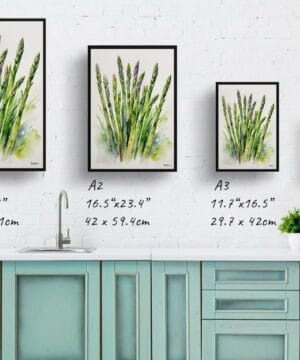 Asparagus Officinalis (Gijnlim) Watercolour Botanical Art Print - Framed Plant Wall Art 25 Asparagus Officinalis (Gijnlim) Watercolour Botanical Art Print - Framed Plant Wall Art - Image 12