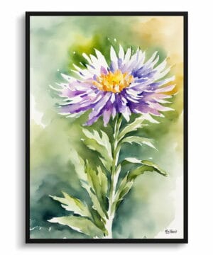 Michaelmas Daisy (Aster) Watercolour Botanical Art Print - Framed Plant Wall Art 18 Michaelmas Daisy (Aster) Watercolour Botanical Art Print - Framed Plant Wall Art - Image 5