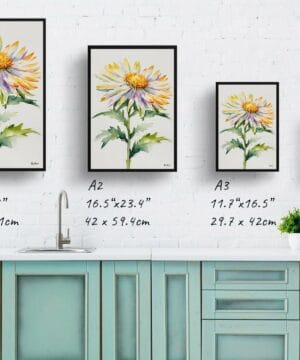 Michaelmas Daisy (Aster) Watercolour Botanical Art Print - Minimalist Framed Plant Wall Art 25 Michaelmas Daisy (Aster) Watercolour Botanical Art Print - Minimalist Framed Plant Wall Art - Image 12