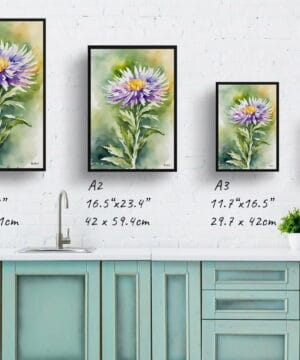 Michaelmas Daisy (Aster) Watercolour Botanical Art Print - Framed Plant Wall Art 25 Michaelmas Daisy (Aster) Watercolour Botanical Art Print - Framed Plant Wall Art - Image 12