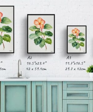 Begonia Watercolour Botanical Art Print - Wax semperflorens Minimalist Framed Plant Wall Art 25 Begonia Watercolour Botanical Art Print - Wax semperflorens Minimalist Framed Plant Wall Art - Image 12